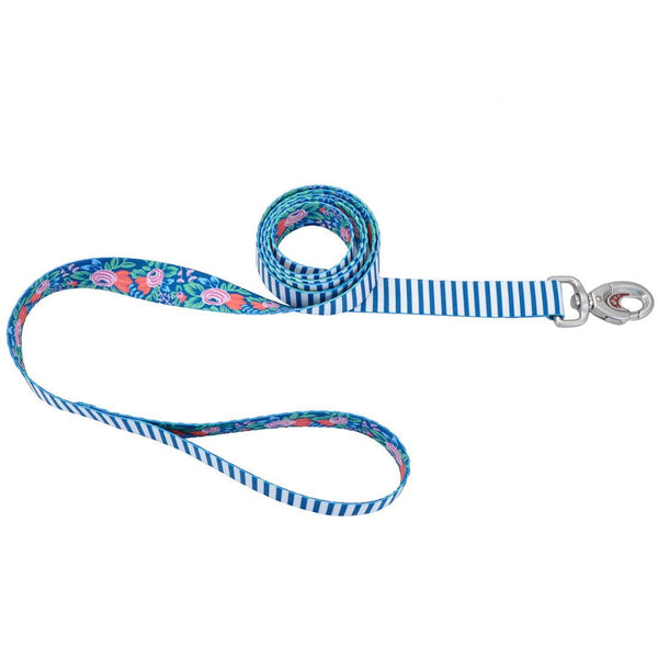 Sublime Laisse pour Chien, Rayure Sarcelle Fleur