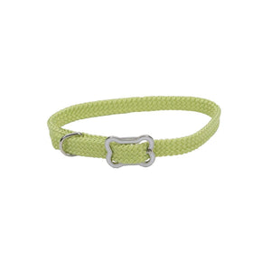 Sunburst Collier avec Boucle Os pour Chiens, Lime