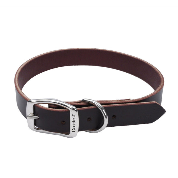 Circle T Collier pour chien en cuir Latigo