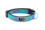 RC Pets Clip Dog Collar, Tropical Paisley