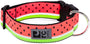 RC Pets Wide Clip Dog Collar, Watermelon