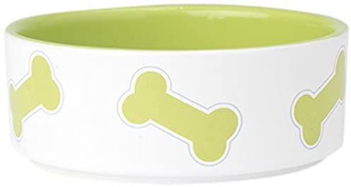 PetRageous Kool Bones Pet Bowl, Lime/White