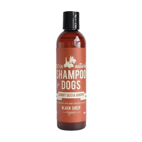 Black Sheep Organics Carrot Seed & Juniper Dog Shampoo, 8-oz