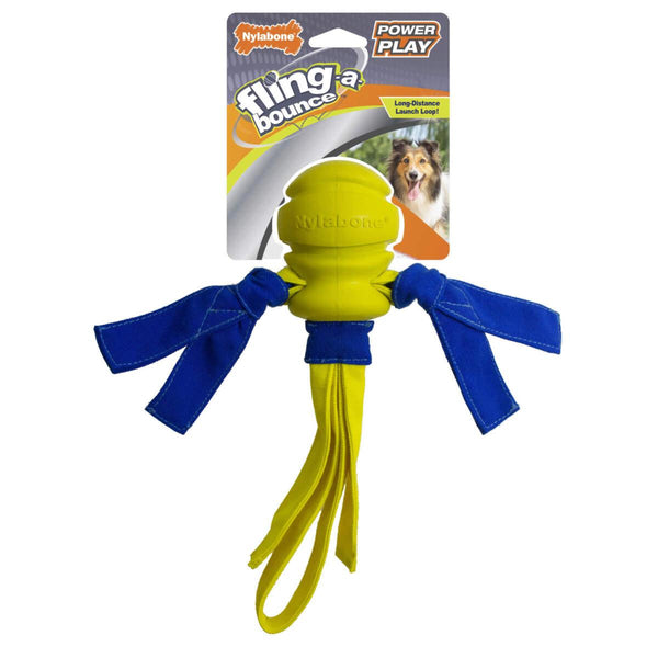 Nylabone Power Play Fling-a-Bounce Dog Toy