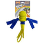 Nylabone Power Play Fling-a-Bounce Dog Toy