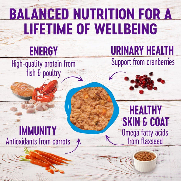 Wellness Complete Health Pâté pour chats variétés favorites Fruits de mer, boîtes de 3 oz