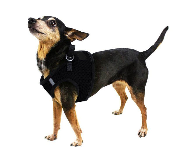Dogline Harnais pour chien Boston en mesh nylon à enfiler, Noir