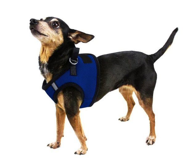 Dogline Harnais pour chien Boston en mesh nylon à enfiler, Bleu royal