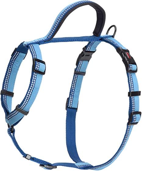 Halti Harnais de marche pour chien, bleu
