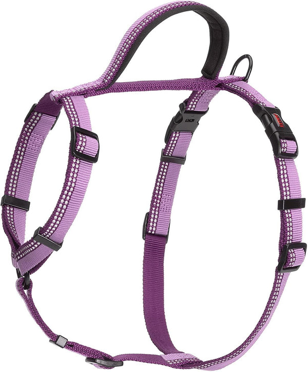 Halti Walking Dog Harness, Purple