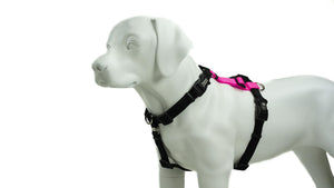 Blue-9 Harnais pour chien Balance Buckle-Neck, Rose vif