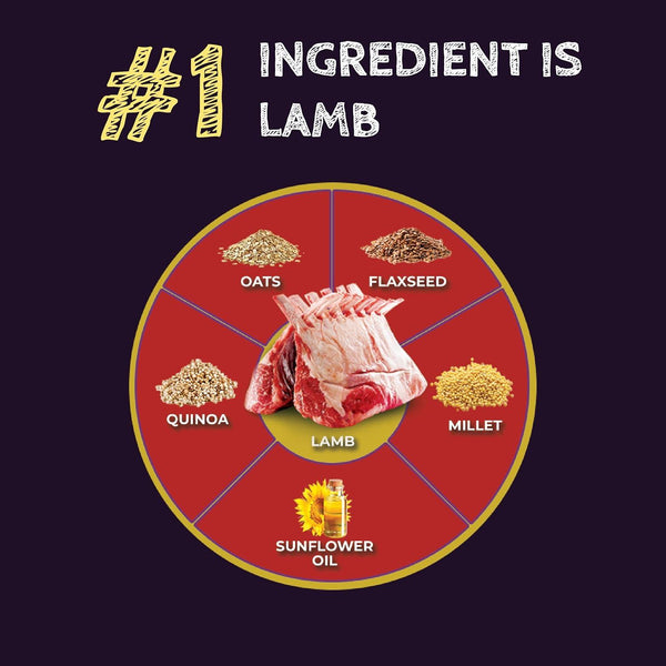 Zignature Select Cuts Lamb & Lamb Meal Formula Dry Dog Food