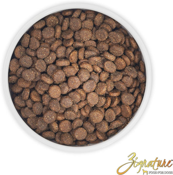 Zignature Select Cuts Lamb & Lamb Meal Formula Dry Dog Food