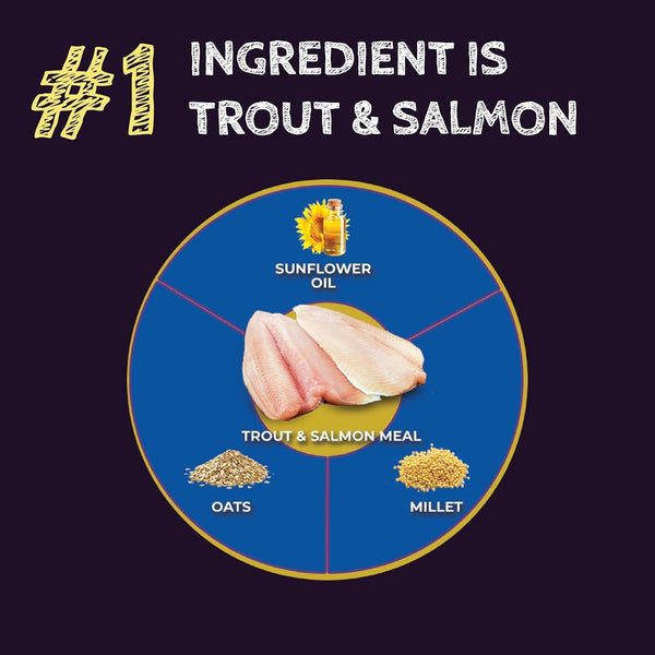 Zignature Select Cuts Trout & Salmon Meal Formula Dry Dog Food
