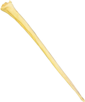 Qt Water Buffalo Full Tail Beef Dog Treat