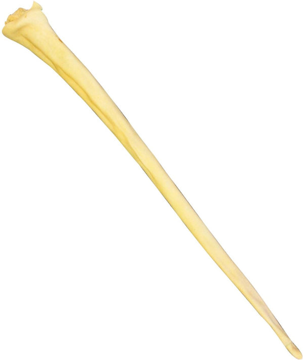 Qt Water Buffalo Full Tail Beef Dog Treat