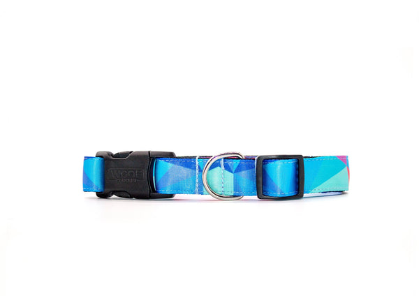 Woof Concept Dog Collar, Prism