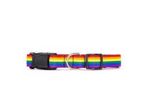 Woof Concept Dog Collar, Pride