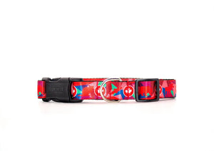 Woof Concept Dog Collar, True North