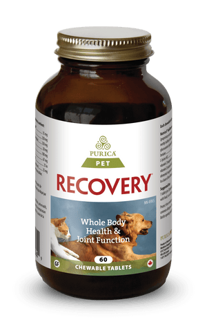 Purica Recovery Chewable Tablets Dog & Cat Supplement