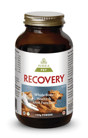 Purica Recovery Powder Dog & Cat Supplement