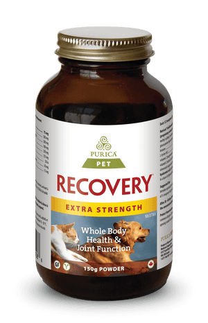 Purica Recovery Extra Strength Powder Dog & Cat Supplement