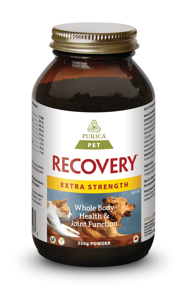 Purica Recovery Extra Strength Powder Dog & Cat Supplement
