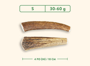 Jawgler Whole Antler Wild Nature Chew Dog Toy