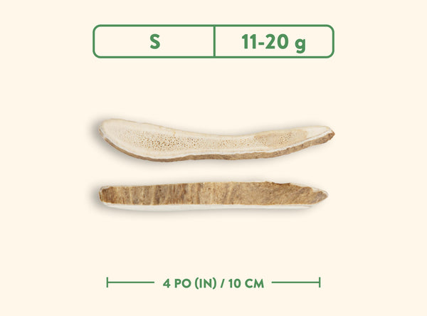 Jawgler Split Antler Wild Nature Chew Dog Toy