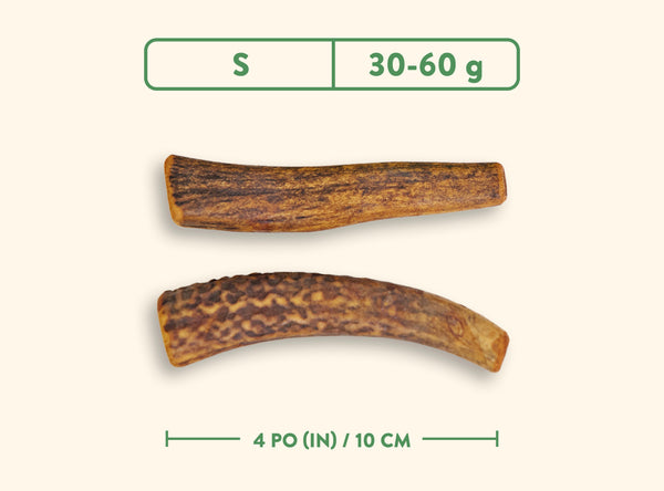 Jawgler Whole Antler Smoked Maple Ham Chew Dog Toy