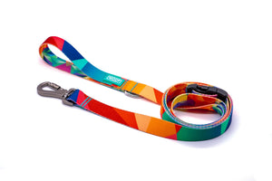 Woof Concept Ikonic Leash, Polygon 2