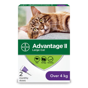 Advantage II Flea Protection for Large Cats over 4-kg
