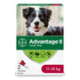 Advantage II Grand chien