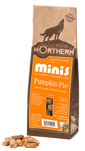 Northern Biscuit Tarte à la citrouille Minis Gâteries pour chiens