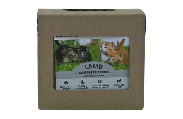 Red Dog Blue Kat Recette complète à l'agneau Nourriture congelée pour chats