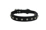 Angel Studded Cat Collar, Midnight Black