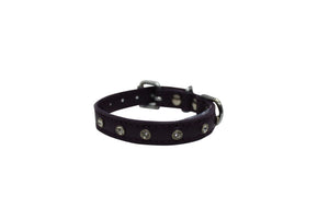 Angel Athens Collier pour chien avec strass, Violet orchidée