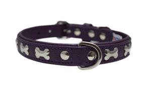 Angel Rotterdam Collier pour chien Bones, Violet Orchidée
