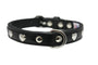 Angel Rotterdam Collier pour chien Hearts, Noir Minuit