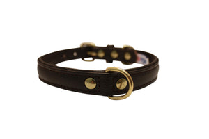 Angel Alpine Collier simple pour chien, Marron Chocolat