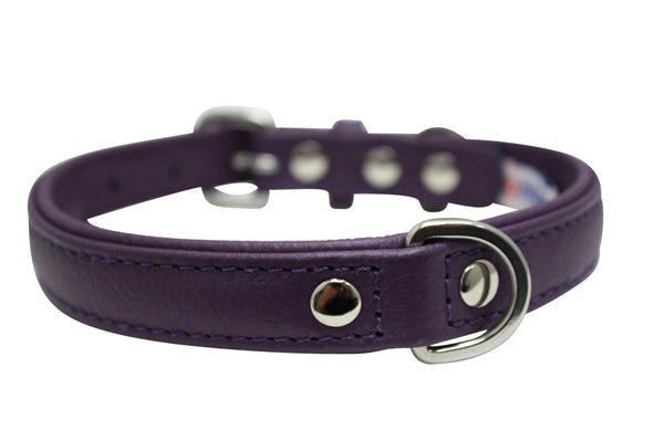 Angel Alpine Collier simple pour chien, Violet Orchidée