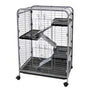 Ware 4 Level Indoor Hutch for Small Pets