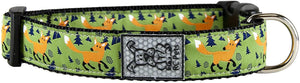 RC Pets Collier pour chien à clip, Sly Fox