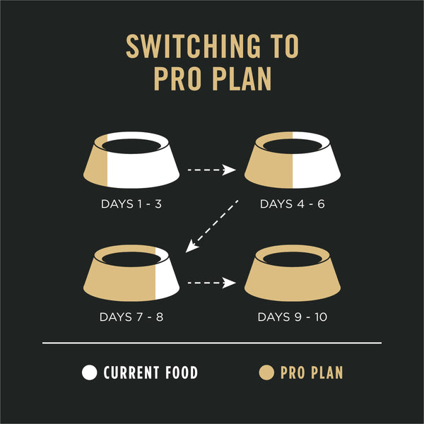 Purina Pro Plan Sensitive Skin & Stomach Lamb & Oat Meal Adult Dry Dog Food