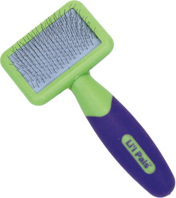 Li'L Pals Cat & Kitten Slicker Brush