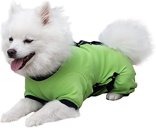 Tulane's Closet Combinaison à manches longues Cover Me by Tui à ajustement réglable pour chien, Vert