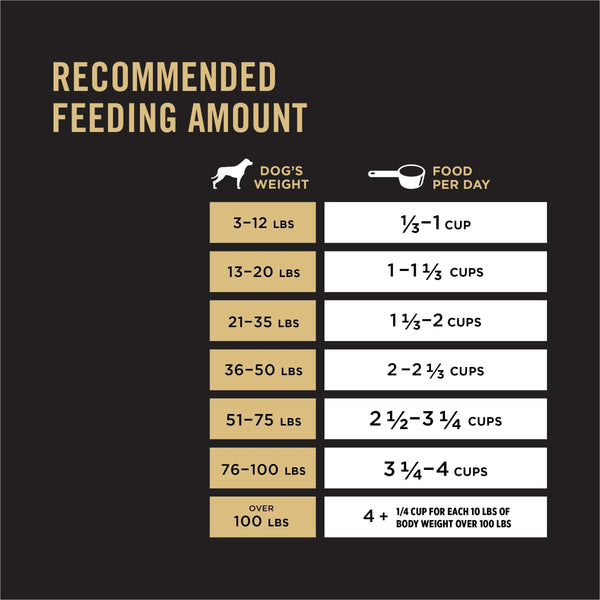 Purina Pro Plan Focus Nourriture sèche pour chiens à toutes les étapes de la vie Petites bouchées Agneau et riz