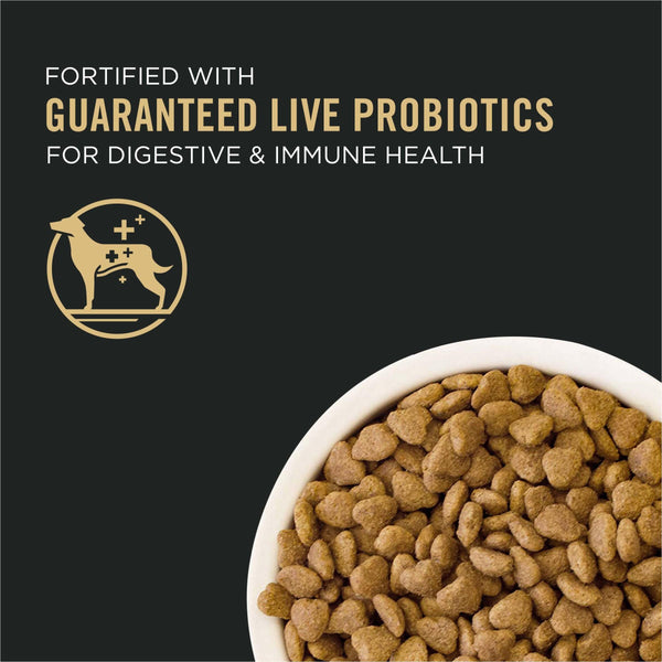 Purina Pro Plan Focus Nourriture sèche pour chiens à toutes les étapes de la vie Petites bouchées Agneau et riz