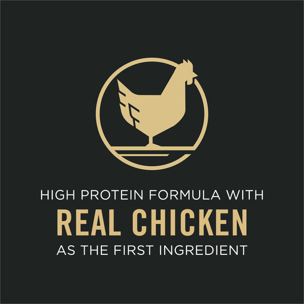Purina Pro Plan Bright Mind Chicken & Rice Adult 7+ Dry Dog Food