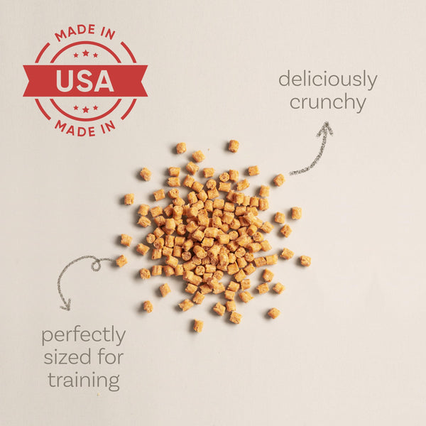 Polkadog Salmon Says Training Bits Dog & Cat Treats